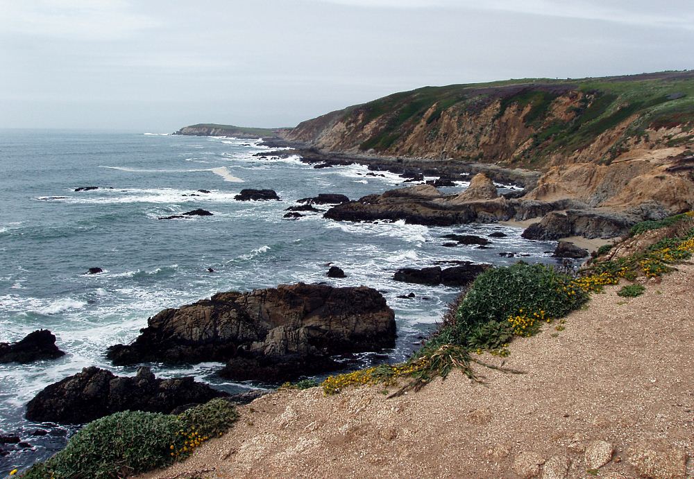 Windmill Cove, Bodega Head, My playground. See that far point there? I sat up there on the cliff endlessly .. thinking .. 