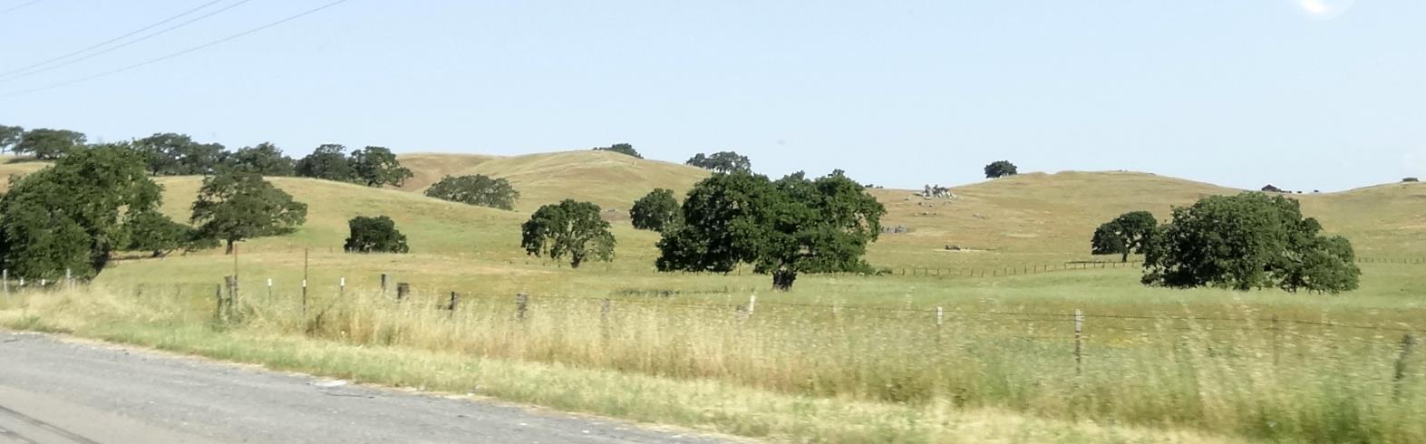 This is pretty typical of what you see along the hiway. This is what you would see all the way inland until you are through Napa and the Wine Country.