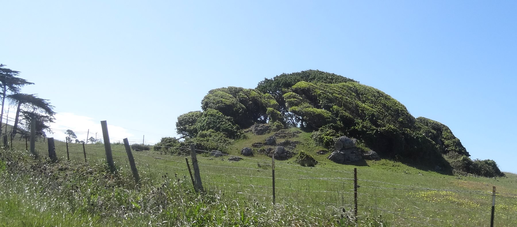 The ground rises back to pasture lands and tree covered knolls where the rocky bones of the Earth poke through.