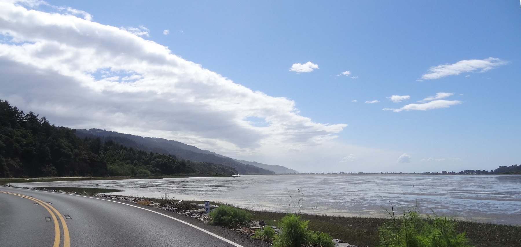 Eventually you reach sea level again at Bolinas Bay. The autobahn Society has purchased much of the land here, because it supports huge populations of sea and shore birds.