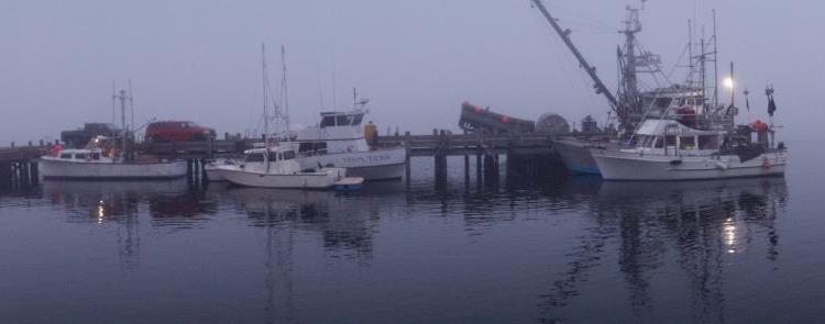 Morro Bay Dock in the Fog