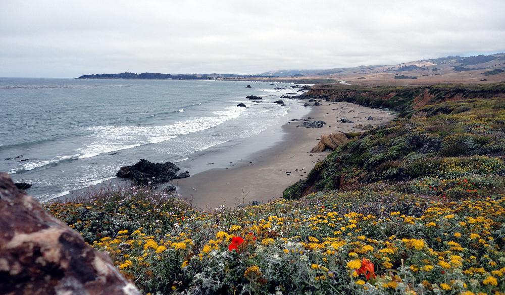 San Simeon