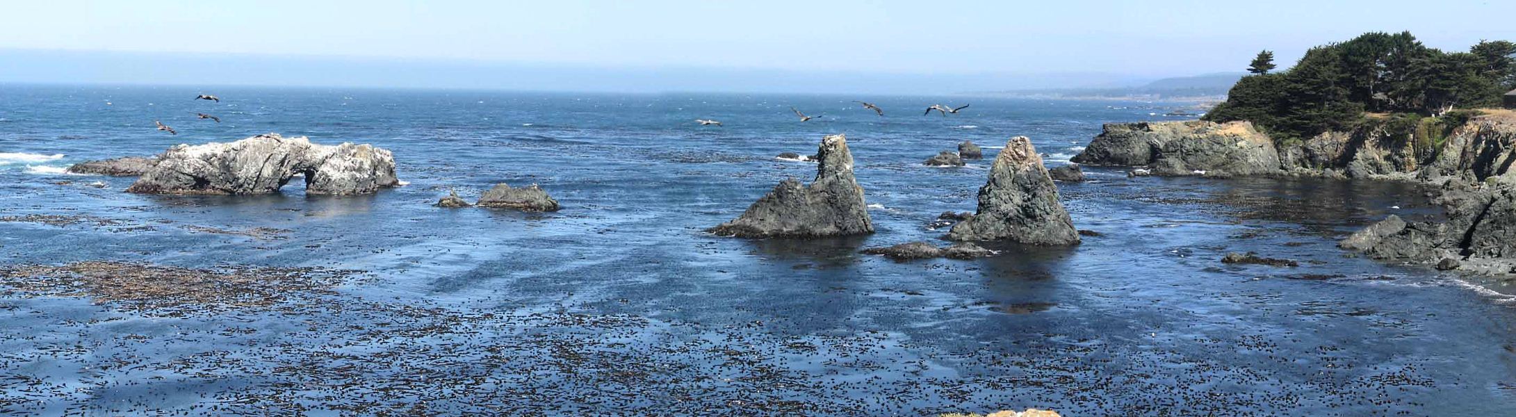 I do love the sea..